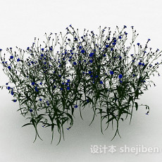 公园观赏型蓝色花朵花卉3d模型下载
