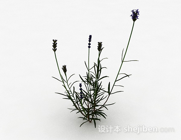 免费单株紫色花朵植物3d模型下载