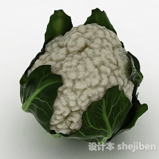 白色花包菜3d模型下载