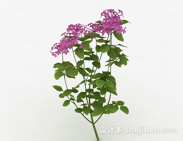 免费紫色花卉装饰植物3d模型下载