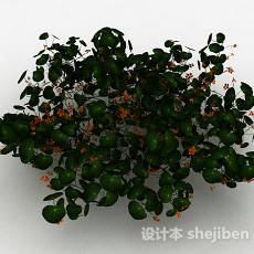 橙色小花观赏型花丛3d模型下载