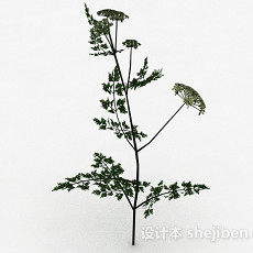 单株白色花朵植物3d模型下载