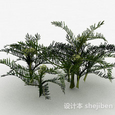 细叶装饰花卉植物3d模型下载