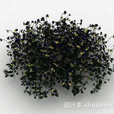 黄紫双色小花观赏花卉3d模型下载