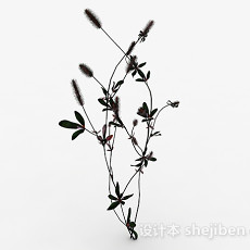 藤条状草丛植物3d模型下载