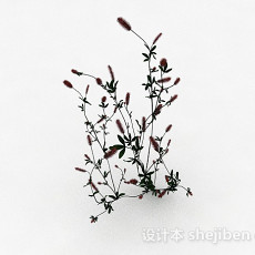 马尾状花朵植物3d模型下载