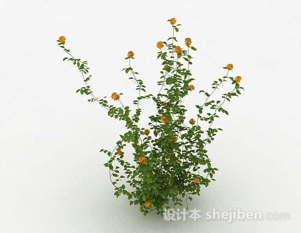 黄色花卉植物3d模型下载