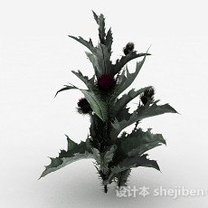 花园装饰植物花卉3d模型下载