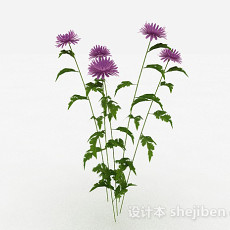 紫色装饰花卉3d模型下载