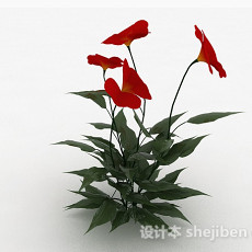 红色花朵3d模型下载