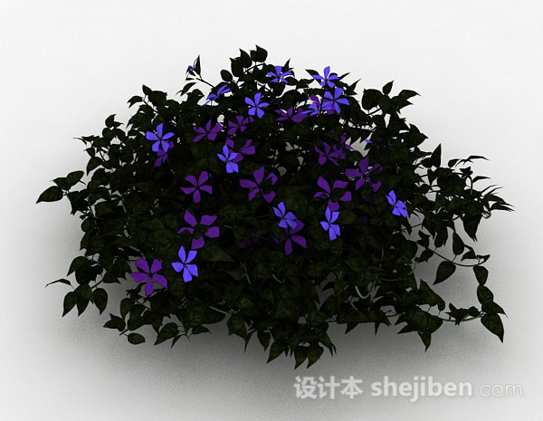 紫色铁线莲观赏花卉3d模型下载