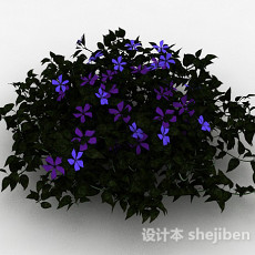 紫色铁线莲观赏花卉3d模型下载