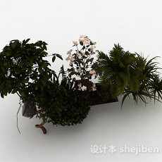 园林观赏型花卉植物3d模型下载