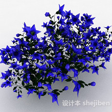 蓝色五角状花朵花卉3d模型下载