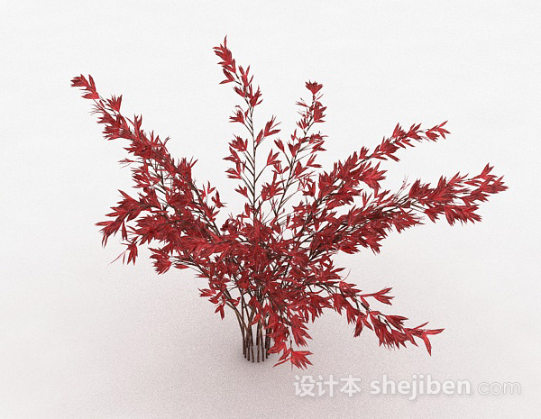 其它红色树叶观赏型植物3d模型下载
