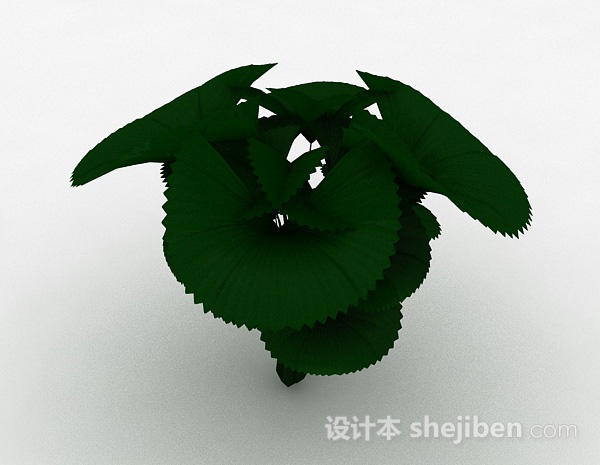 粽叶植物模型