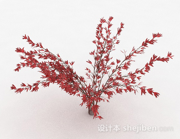 观赏型红色树叶植物模型