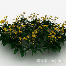 黄花观赏植物3d模型下载