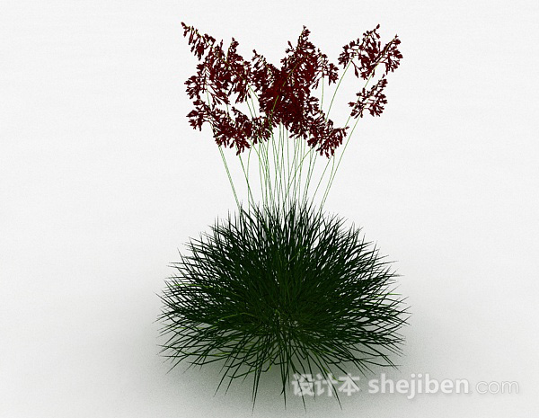 红色草穗植物模型