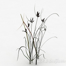 室外装饰植物3d模型下载