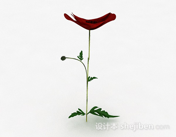 免费红色花卉植物3d模型下载
