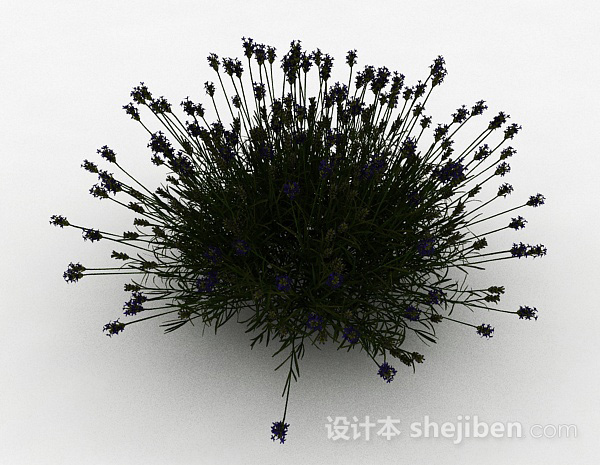 紫色花朵草丛3d模型下载