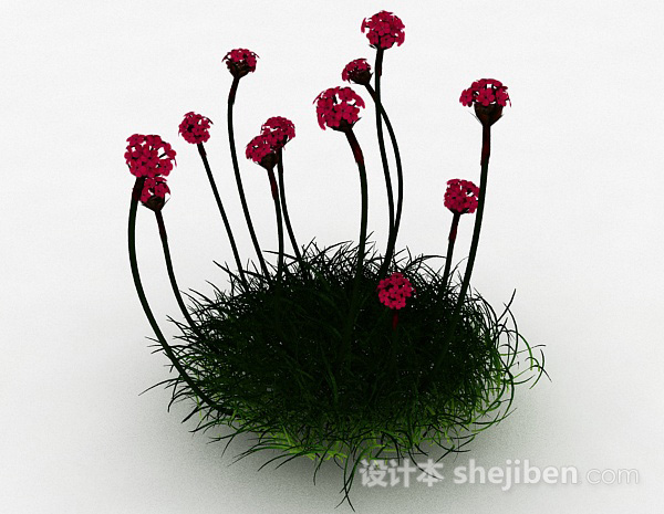 免费红色海石竹花卉3d模型下载